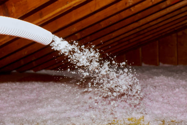 Types of Insulation We Offer in Algonquin, IL